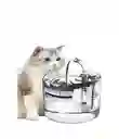 Fuente De Agua Para Mascotas Gatos Silencioso Automatico