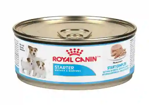 Royal Canin Lata Chn Starter Mb Wet 145 Grs