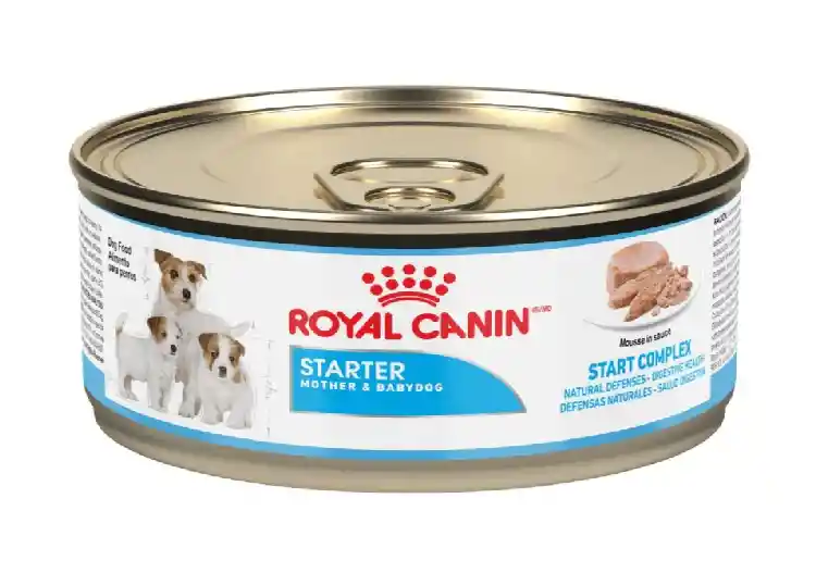 Royal Canin Lata Chn Starter Mb Wet 145 Grs