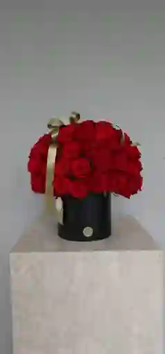 Cilindro X 90 Rosas