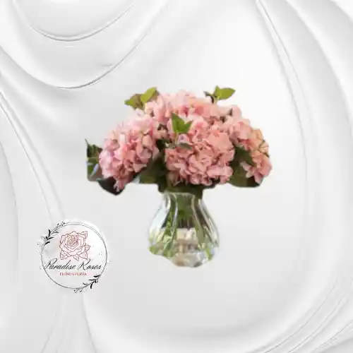 Hortensias Ternura
