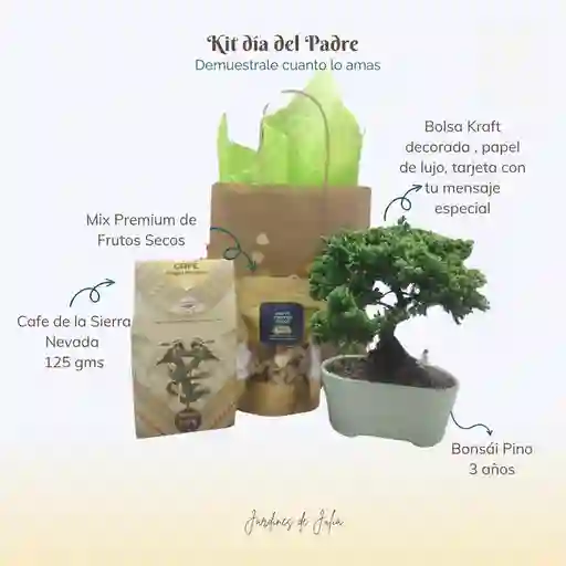 Kit Bonsái Para Ellos