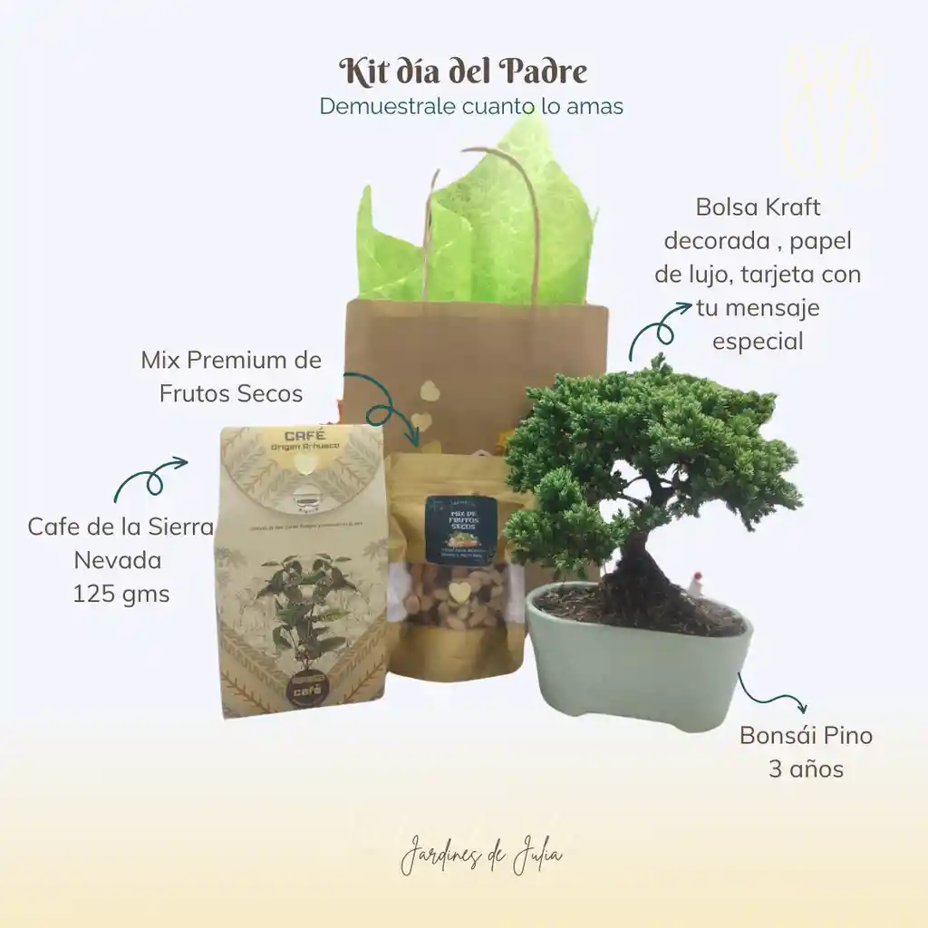 Kit Bonsái Para Ellos