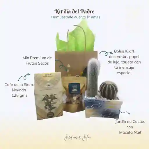 Kit Para Ellos "jardín De Cactus"