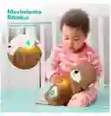 Peluche Nutria Musical Movimientos Y Luces Cafe Oscuro