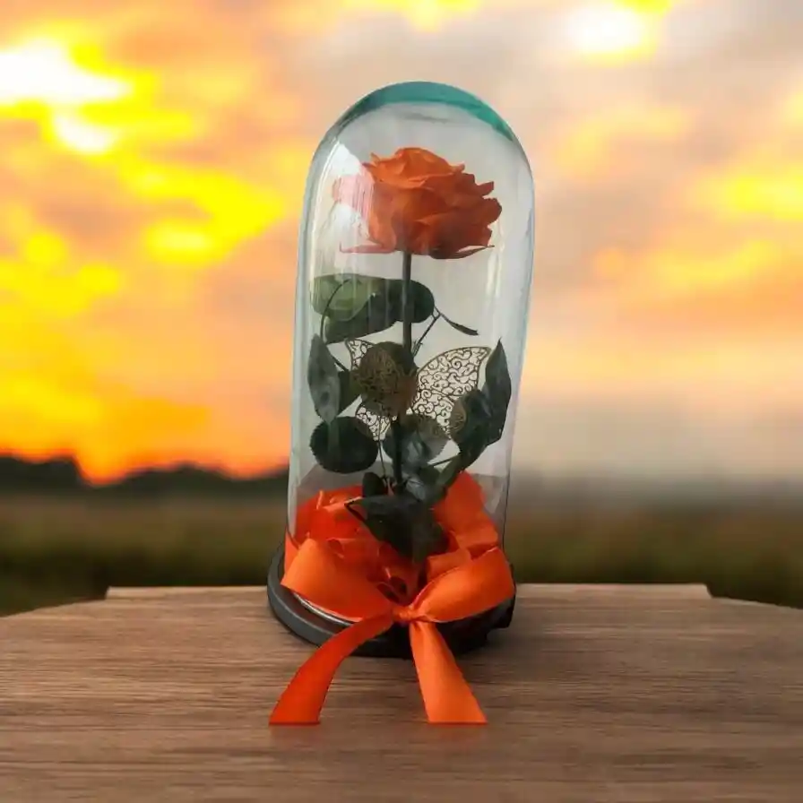 Flores Y Rosas Preservada Naranja