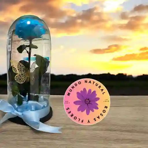 Flores Y Rosas Preservada Azul Celeste