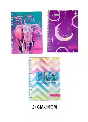 Cuaderno Argollado Pequeño Para Mujer 100 Hojas Cuadriculado Diseños Surtidos