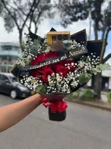 Quieres Ser Mi Novia