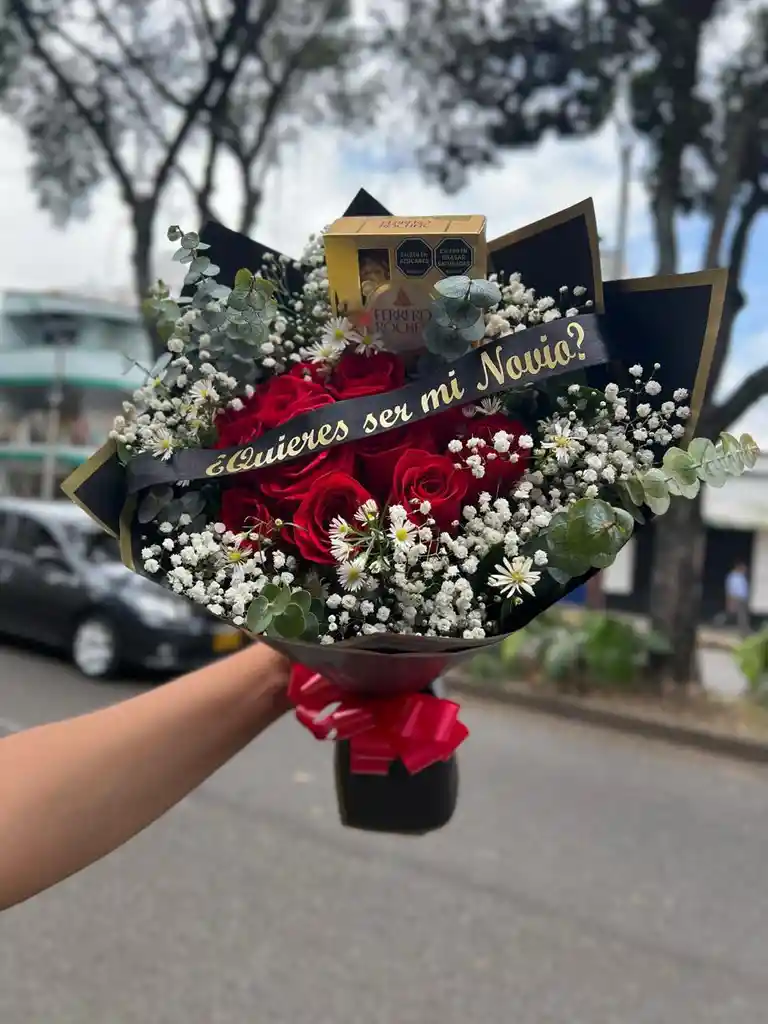 Quieres Ser Mi Novia