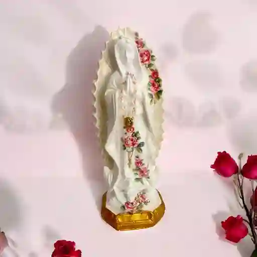 Virgen 22 Cms Con Denario