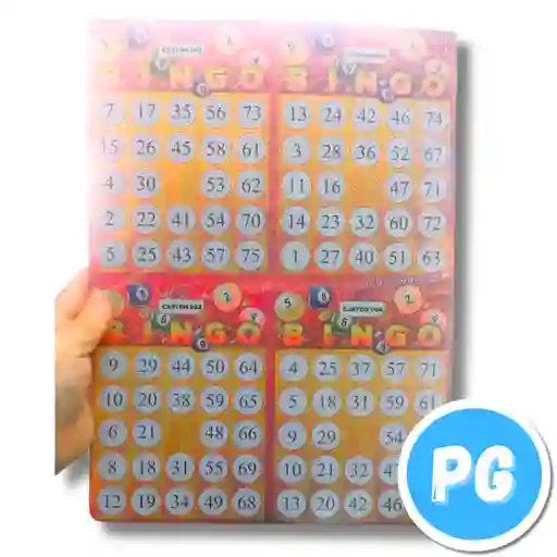 Paquete De Cartones De Bingo X100 Unds Bazar