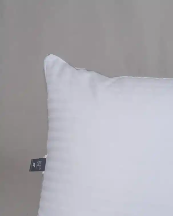 Almohada Ecoplumas 80x50