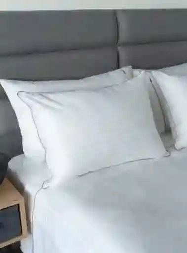 Almohada Ecoplumas 80x50
