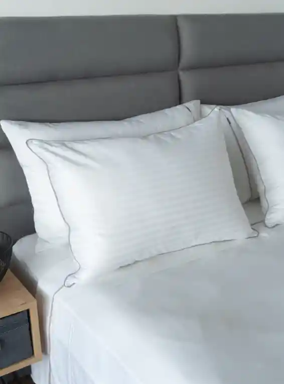 Almohada Ecoplumas 80x50