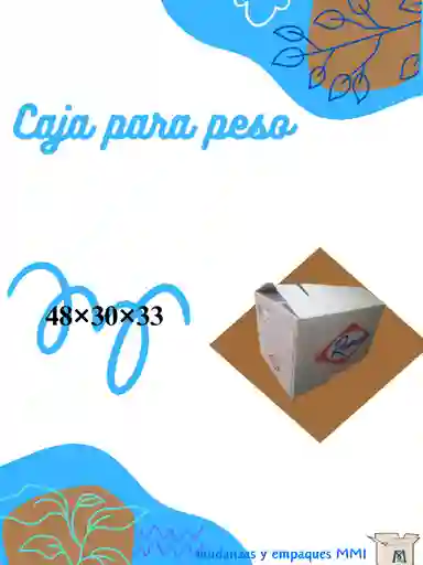 Caja Mudanza S