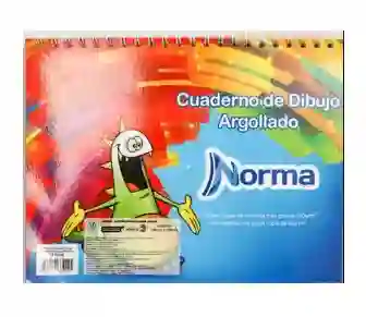 Cuaderno Block Dibujo Argollado Grande Nessan