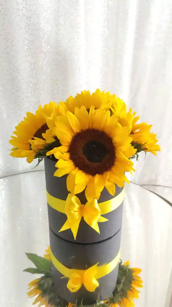 Caja De Girasol