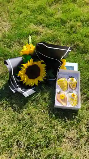 Combo