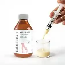 Gastro +