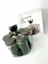 Set Organizador De Condimentos Y Especias X6