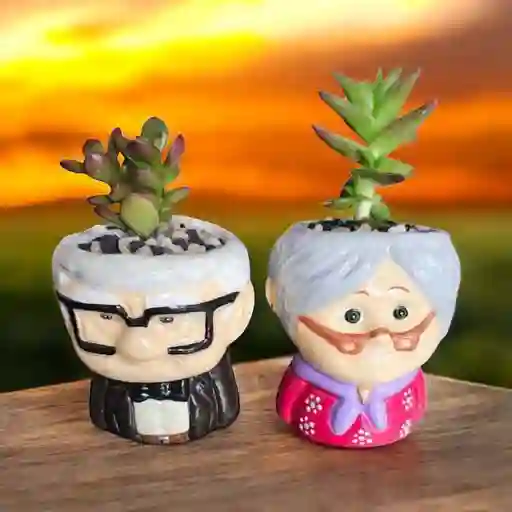 Flores Y Rosas Suculentas Abuelitos