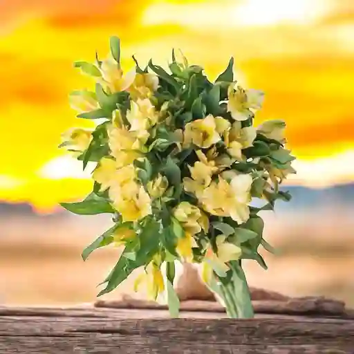 Flores Bouquet De Astromelias Amarillas