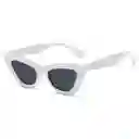 Lentes De Sol Con Estuche Rigido De Lona 020