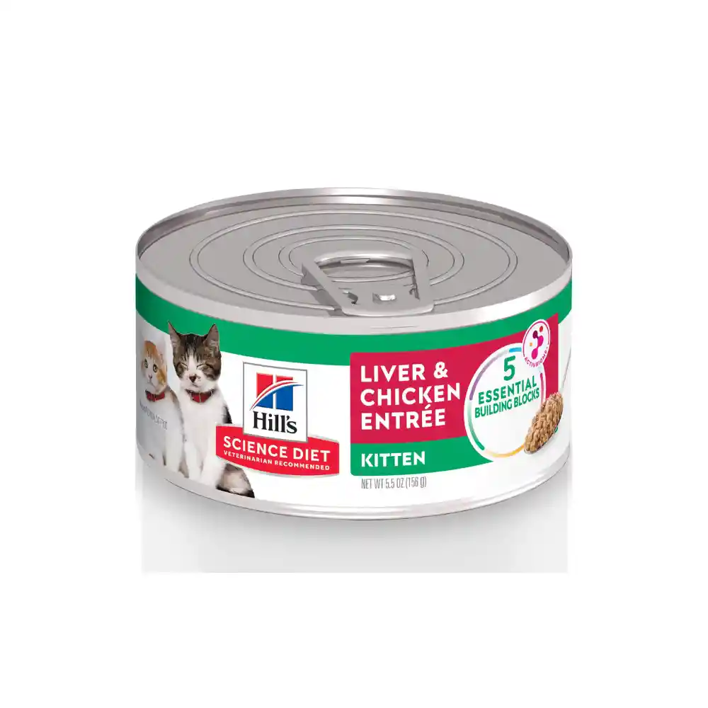 Hills Lata Cat Kitten 5.5 Oz