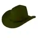 Sombrero Vaquero Hombre Mujer Gardel Sol Elegante Fiesta