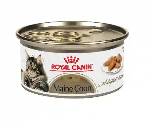 Royal Canin Lata Gato Fbn Maine Coon Lata 85 Grs