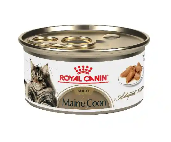 Royal Canin Lata Gato Fbn Maine Coon Lata 85 Grs