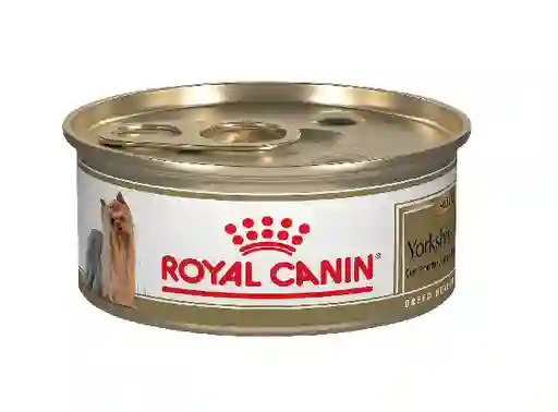 Royal Canin Bhn Yorkshire Lata X 85 Grs