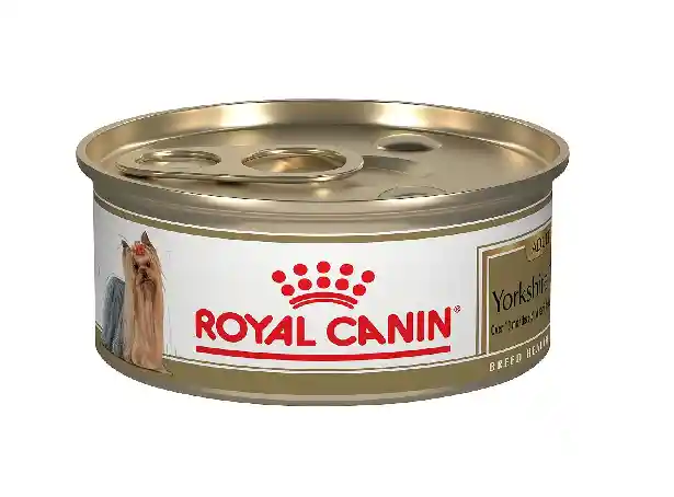 Royal Canin Bhn Yorkshire Lata X 85 Grs