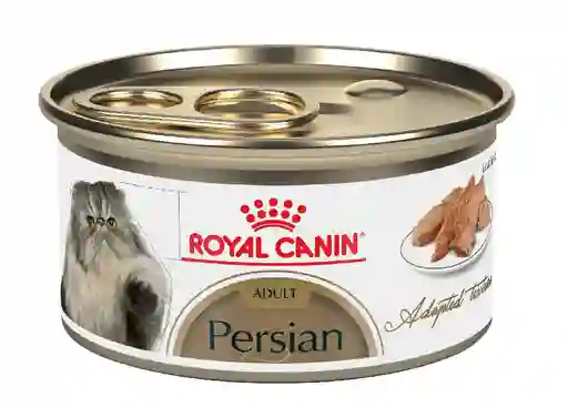 Royal Canin Fbn Persian Lata X 85 Grs
