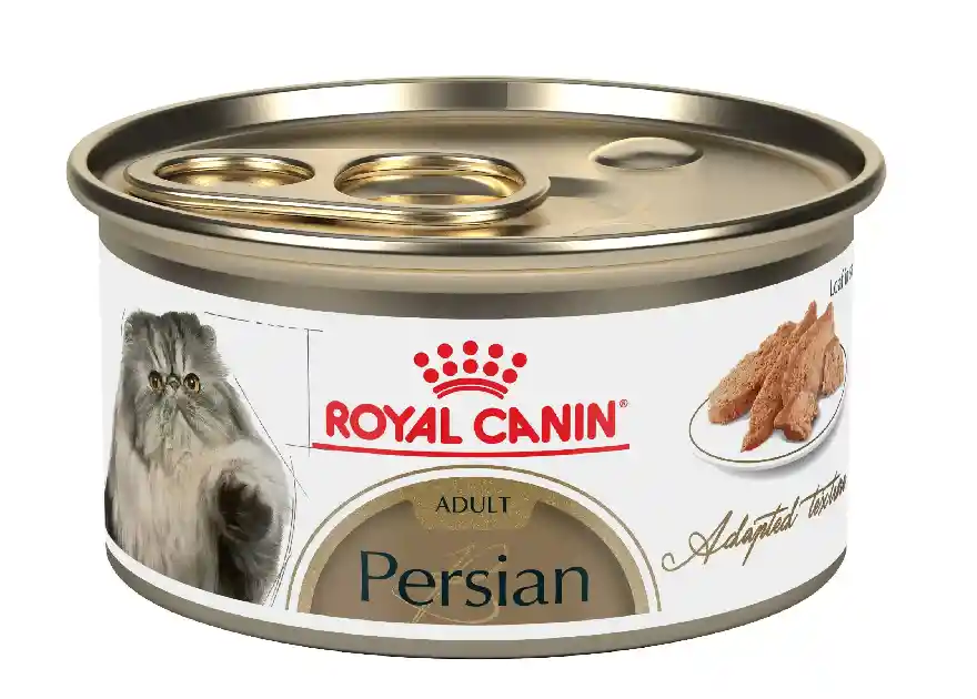 Royal Canin Fbn Persian Lata X 85 Grs