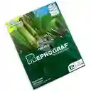 Resma Carta Reprograf