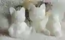 Vela Perro Zen