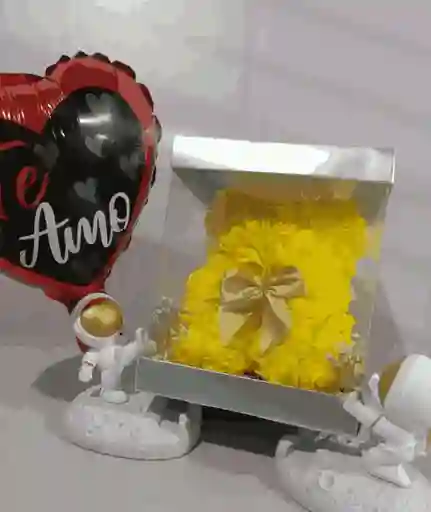 Oso De Rosas