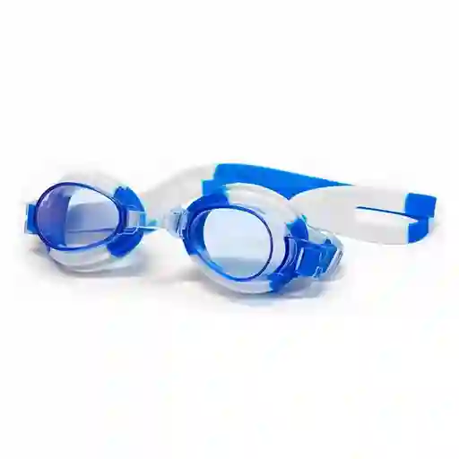 Gafas Natacion Everlast Prism 6x19x6cm Azul Silicona