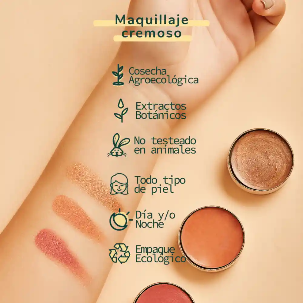 Maquillaje Cremoso Blushy Camelia
