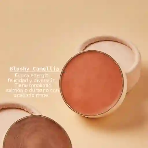 Maquillaje Cremoso Blushy Camelia