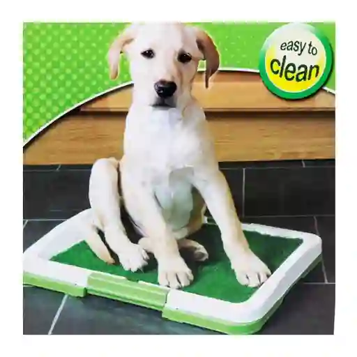 Tapete Entrenador Para Perro Cachorro Mediano