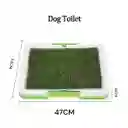 Tapete Entrenador Para Perro Cachorro Mediano