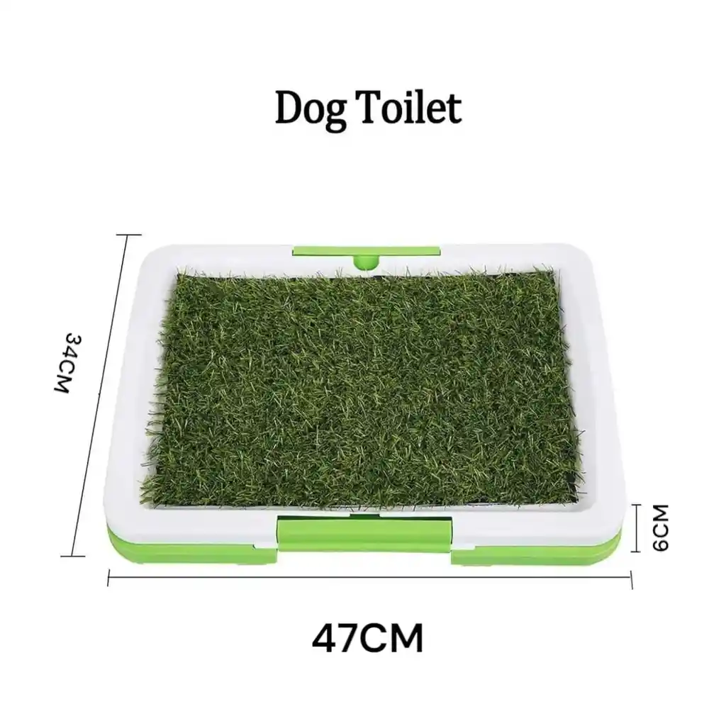 Tapete Entrenador Para Perro Cachorro Mediano