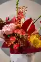 Flower Bag Corals