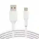 Cable Usb Belkin V8