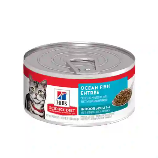 Alimento Húmedo Para Gato Adulto Hills Indoor Sabores De Mar 5,5onz