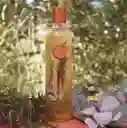 Shampoo Romero Y Eucalipto Ritual Botanico