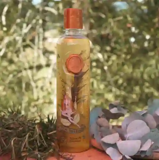 Shampoo Romero Y Eucalipto Ritual Botanico